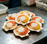 Seared Scallops in Shell